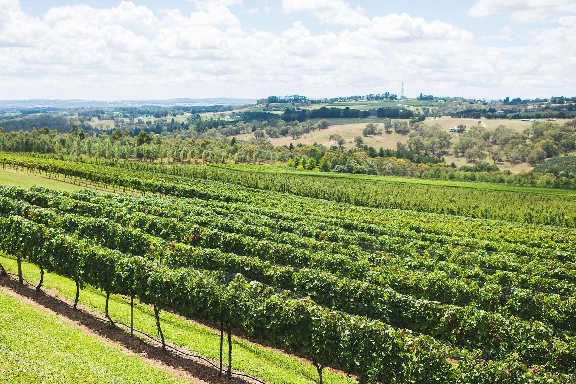Hotel Borrodell Vineyard Orange Zewnętrze zdjęcie